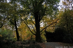 Der Stadtpark Wanne-Eickel im Oktober 2011